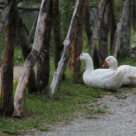 Albergo Lago Verde Pennabilli Luaran gambar