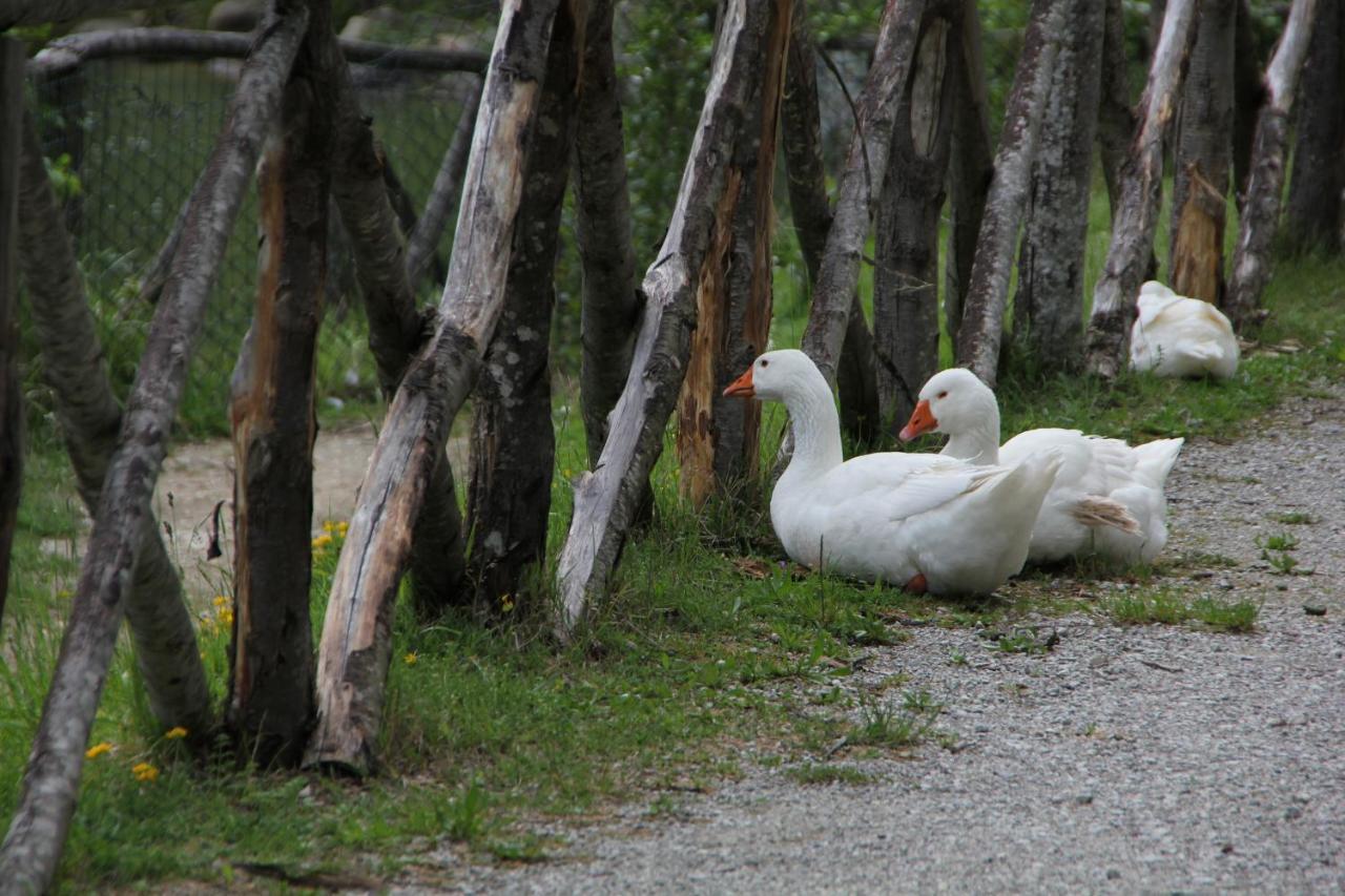 Albergo Lago Verde Pennabilli Luaran gambar